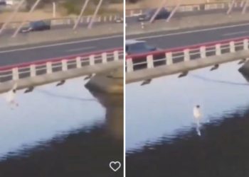 VÍDEO | El temerario salto de un joven desde el techo de un vehículo en un viaducto de la A-8
