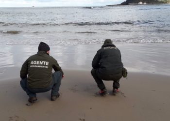 El Principado activa un sistema de vigilancia en la costa ante la posible llegada de ‘pellets’