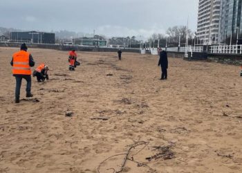 La Organización Marítima Internacional se pronuncia: no es aconsejable recoger los ‘pellets’ en mar