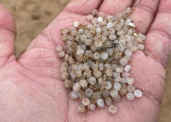 Los ‘pellets’ ya están en San Lorenzo