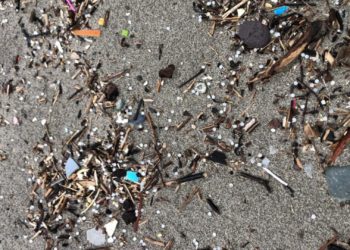 Los ‘pellets’ llegan a Castrillón