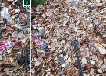 Investigan el hallazgo de los restos de un oso pardo en Somiedo