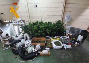 Juzgan a tres acusados de tener una plantación de marihuana en una nave de Valdés