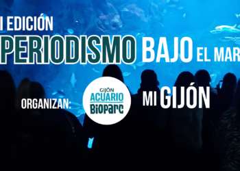 ‘Periodismo bajo el mar’, el nuevo concurso para jóvenes organizado por Bioparc Acuario de Gijón y miGijón