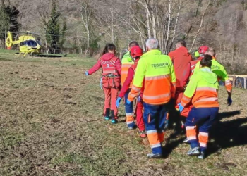 Trasladan al HUCA a un hombre que se hirió mientras trabajaba en una finca de Lena