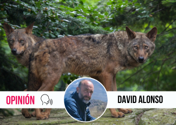 ¿Puede llegar el lobo a Gijón?