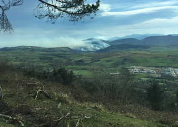 El Principado activa el Plan de incendios forestales con 20 fuegos activos