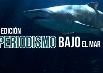 ‘Periodismo bajo el mar’, el concurso del Acuario y miGijón para los estudiantes asturianos