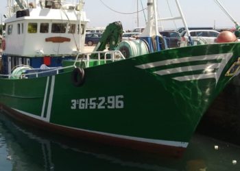 Un arranque «flojo» de la campaña del bocarte deja en la Rula de Gijón los primeros 8.000 kilos