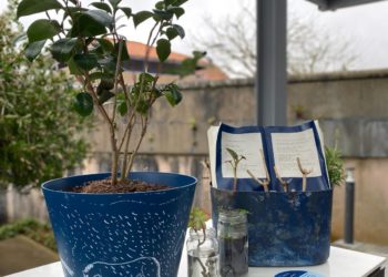 «Celebramos el agua, pero también la diversidad»