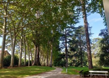 El Botánico celebra la primavera con una programación llena de exposiciones y conciertos