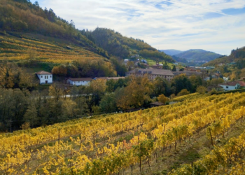 El vino de Cangas, «una especie de Listerine pijo» perfecto para comer cachopo según este experto