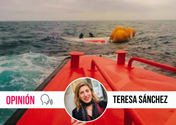 ¿Qué fue de los pélets de plástico?