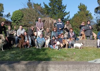 ¿Puede La Arena ser la solución al problema de los espacios caninos en Gijón?