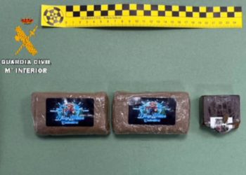 ‘Zombie Kush’ y ‘Deep Water Cultivators’, las variedades de hachís intervenidas a un avilesino en Navia