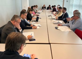 El Consejo Asesor de Turismo aprueba el anteproyecto de la reforma de la ley sectorial, que regulará las VUT