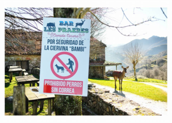 El cuento de Bambi hecho realidad por un asturiano que te emocionará