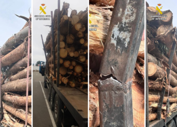 Un camión con troncos mal asegurados, a punto de sembrar el caos en la A-8