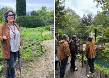 Soluciones desde el Botánico a la ‘ceguera vegetal’ de Gijón: «Solo se ama lo que se conoce»