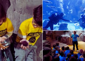 El verano más divertido ya está llegando al Bioparc Acuario de Gijón