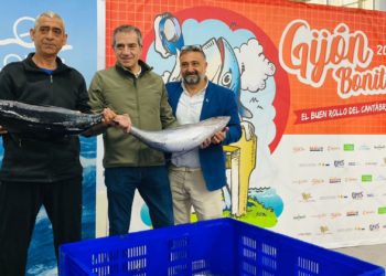 Pescados Basilio paga 39,82 euros el kilo en la subasta por el primer bonito de la temporada en El Musel