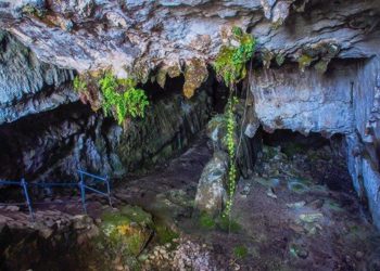 Reabre la cueva de El Pindal a las visitas con nuevas medidas de seguridad