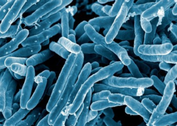 El brote familiar de tuberculosis en Llanes suma 13 casos