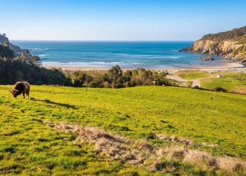 Estas son las dos nuevas banderas azules de Asturias: dos paraísos del Principado