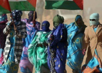 El Gobierno autoriza la llegada de casi 3.000 menores saharauis a España este verano con ‘Vacaciones en paz’