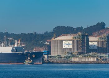 El Gobierno nacional valora introducir cláusulas de relevo generacional en los convenios de estibadores