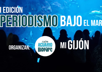 IES Ramón Areces y CP El Carbayu, ganadores del concurso ‘Periodismo bajo el mar’