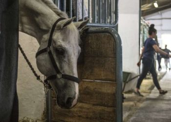 El Concurso Hípico busca personal: abierta la contratación de 56 trabajadores