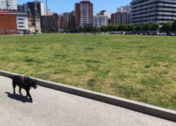 Un incidente en el ‘solarón’ reaviva la exigencia de vallas en las zona caninas: «No podemos seguir así»