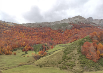 El bosque encantado en Somiedo lleno de mitos,  cuentos y leyendas