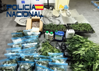 La Policía desmantela en Langreo un punto negro destinado al cultivo y procesamiento de marihuana