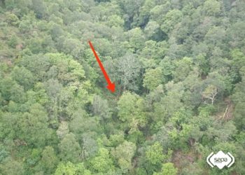 Localizan en Valdés a un peregrino francés de 72 años que se había desorientado