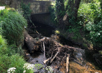 Comienzan las labores de mejora y conservación en los ríos de Gijón