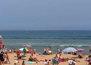 La llegada de las carabelas portuguesas a San Lorenzo alerta a los bañistas: «No puedes relajarte ni un poco»