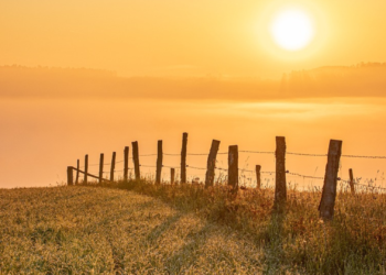 Todas las comunidades menos Canarias, en alerta por calor, tormenta, oleaje o lluvias