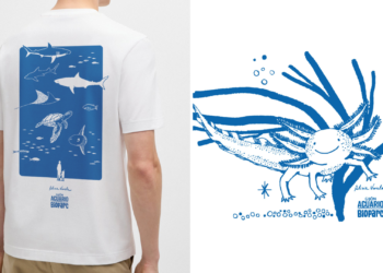 El Acuario lanza nueva colección de camisetas con ilustraciones de la gijonesa Alicia Varela