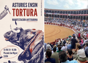 La manifestación antitaurina del 15 de agosto contará con el apoyo de partidos políticos y ONGs