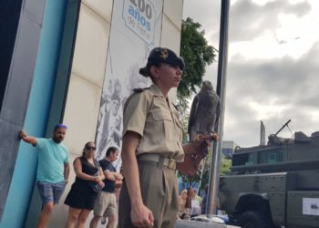 A la bandera… ¡Saluden!: la FIDMA rinde honores a las Fuerzas Armadas y a su labor en defensa de España