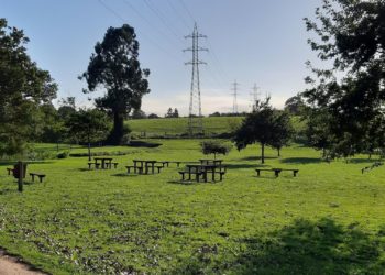 Medio Ambiente inicia las labores de desbroce estival en las sendas de Peñafrancia y Fluvial, y en la Vía Verde