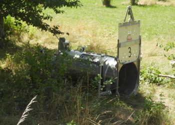 FAPAS solicita que el cadáver del oso herido en Somiedo se conserve si llega a ser sacrificado
