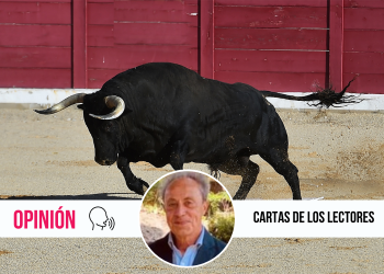 Toros sí, toros no