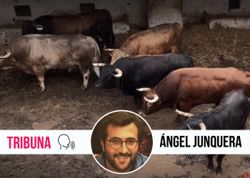 El Bibio, buque insignia asturiano de la conservación del ganado bravo