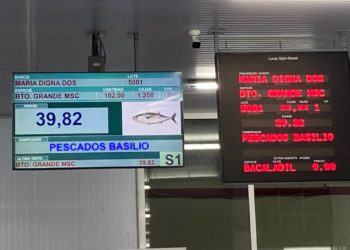 Lonja Gijón supera el millón de kilos de bonito subastados, un 20 % menos que en 2023