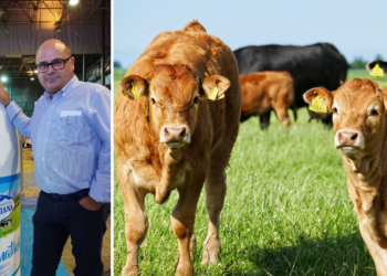 Juan Manuel Alonso (ASA): «Es hipócrita decir que el ganado contamina mientras se viaja en jet privado»