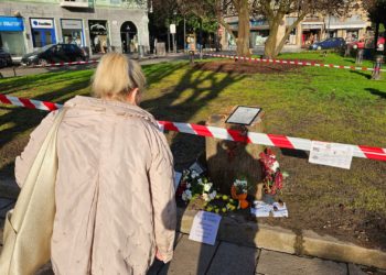 Réquiem por la foresta perdida: una iniciativa anónima recuerda los árboles talados en la plaza de San Miguel