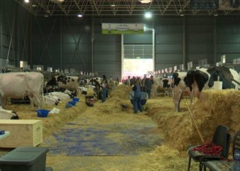 El «salto» adelante de AGROPEC: la feria agropecuaria cierra su 38ª edición con 79.346 visitantes en tres días